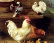 埃德加亨特 - A Cockerel Hen And Chicks With Pigeons